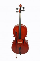 Set Violoncel Cherrystone 3 4 NATUR foto