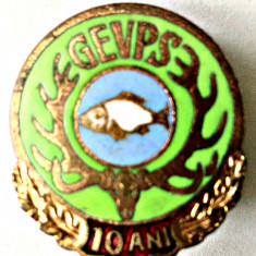 INSIGNA GEVPS 10 ANI PESTE ALB PE FOND ALBASTRU DESCHIS AGVPS VANATOARE PESCUIT