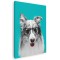 Tablou caine Border Collie cu ochelari Tablou canvas pe panza CU RAMA 50x70 cm