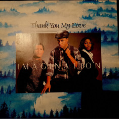 Disc Vinil MAXI Imagination - Thank You My Love-R & B Records-RBL 219