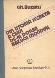 Din istoria secreta a celui de-al Doilea Razboi Mondial - Gheorghe Buzatu