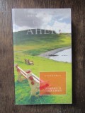 Disparuti fara urma - Cecelia Ahern