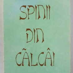 SPINII DIN CALCAI de LIDIA CONSTANTINESCU , roman , 2000, DEDICATIE *