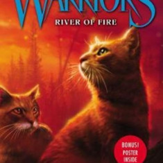 Warriors: A Vision of Shadows #5: River of Fire