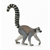 Collecta - Figurina Lemur cu coada-inel