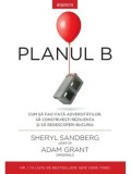 Cumpara ieftin Planul B. Cum sa faci fata adversitatilor, sa construiesti rezilienta si sa redescoperi bucuria/Sheryl Sandberg, Adam Grant