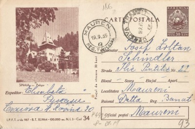 *Romania, Sinaia, Pelisor, c.p.s. circulata intern, 1965 foto
