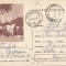*Romania, Sinaia, Pelisor, c.p.s. circulata intern, 1965