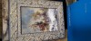 Pictura ulei/carton - Nicolae Ambrozie - lucrare cu certificat de expertiza., Natura, Realism