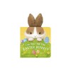 Can You Find the Easter Bunny?