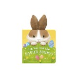 Can You Find the Easter Bunny?
