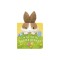Can You Find the Easter Bunny?
