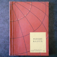 FLOARE RUPTA SI ALTE POVESTIRI DIN LITERATURA CEHA (1957)