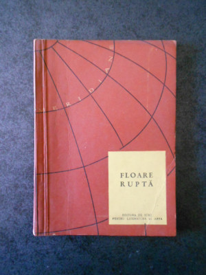 FLOARE RUPTA SI ALTE POVESTIRI DIN LITERATURA CEHA (1957) foto