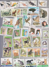 KOREA NORD LOT 40 TIMBRE ANIMALE FAUNA foto