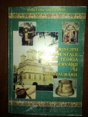 Principii fundamentale de teria conservarii si restaurarii- Irina Crina Anca Sandu foto