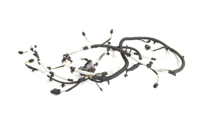 Cablaj senzor de parcare spate ASTON MARTIN DB11 2018 OEM: HY53-15B484-AC 13152370