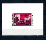 Ras al Khaima 1972 - Cai, colita nedantelata neuzata