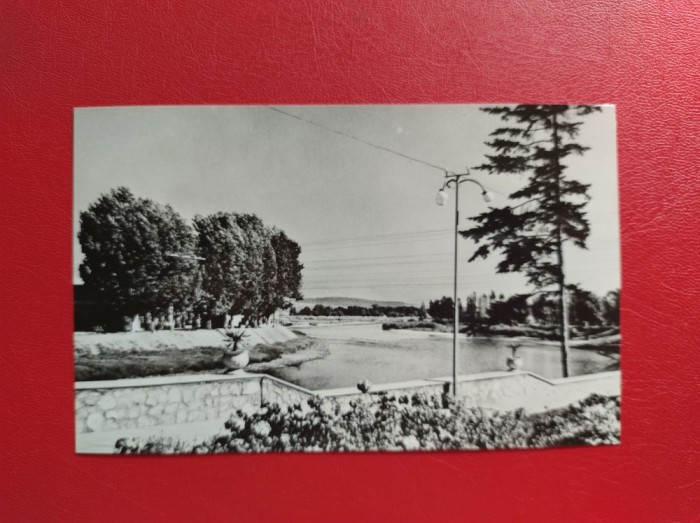 CARTE POSTALA - RSR - LUGOJ - PE MALUL TIMISULUI