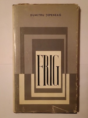 Dumitru Țepeneag - Frig (1967; cartonată) foto