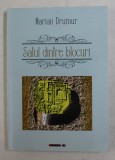 SATUL DINTRE BLOCURI de MARIAN DRUMUR , 2017