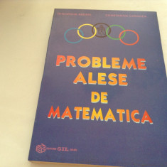 PROBLEME ALESE DE MATEMATICA-GHEORGHE ANDREI,C.CARAGEA,P4
