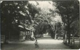 CP1836N Odorheiu, Chioscul din Parc - S&eacute;tat&eacute;r, kioszk, Sz&eacute;kelyudvarhely, carte poștală