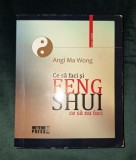 Angi Ma Wong - Feng Shui * Ce sa faci si ce sa nu faci