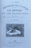 A. E. BREHM, MERVEILLES DE LA NATURE, LES REPTILES ET LES BATRACIENS, 1889