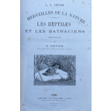 A. E. BREHM, MERVEILLES DE LA NATURE, LES REPTILES ET LES BATRACIENS, 1889