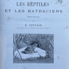 A. E. BREHM, MERVEILLES DE LA NATURE, LES REPTILES ET LES BATRACIENS, 1889