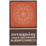 - Intrebari care isi cauta raspunsul - 130324