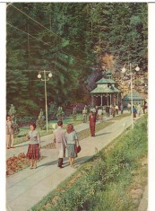 CPIB 22049 - CARTE POSTALA - SLANIC MOLDOVA. LA IZVOARE, RPR