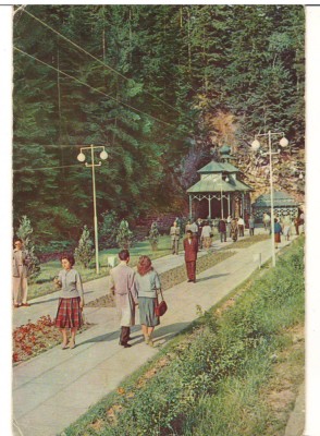 CPIB 22049 - CARTE POSTALA - SLANIC MOLDOVA. LA IZVOARE, RPR foto