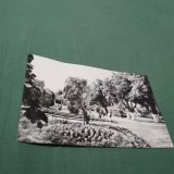 CARTE POSTALA NECIRCULATA RADAUTI VEDERE DIN PARCUL ORASULU7I