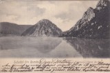 Salutari din Romania. Vederea Cazanului (Porta de fier) (necirculata, circa