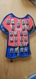 INSIGNE ECHIPA SPANIEI EURO 2000 .