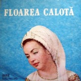 Floarea Calota &ndash; Cucule de pe Resteu