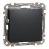 Tasta falsa Schneider Sedna antracit SDD114904