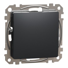 Tasta falsa Schneider Sedna antracit SDD114904