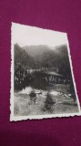 Cumpara ieftin FOTO TIP 9/6 PEISAJ INTERBELICA