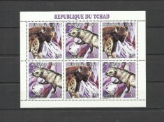 CHAD 1998 FAUNA ANIMALE SALBATICE HIENE SI MANGUSTE foto