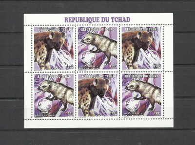 CHAD 1998 FAUNA ANIMALE SALBATICE HIENE SI MANGUSTE foto