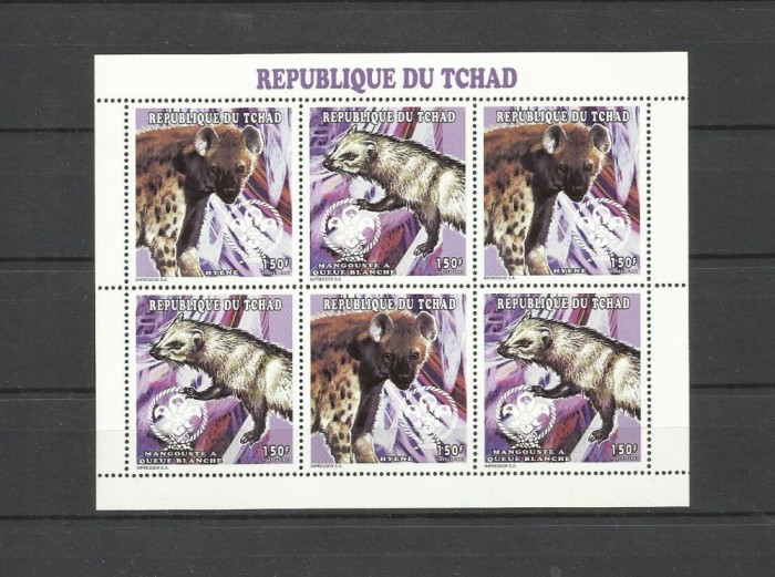 CHAD 1998 FAUNA ANIMALE SALBATICE HIENE SI MANGUSTE