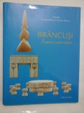 Cumpara ieftin BRANCUSI Sculptor crestin ortodox - DANIEL Patriarhul Bisericii Ortodoxe Romane