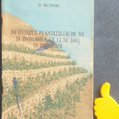 Infiintarea plantatiilor de vii si ingrijirile ce li se dau D. Rusnac