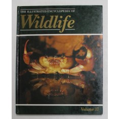 THE ILLUSTRATED ENCYCLOPEDIA OF WILDLIFE , VOLMUL 37 , 1989
