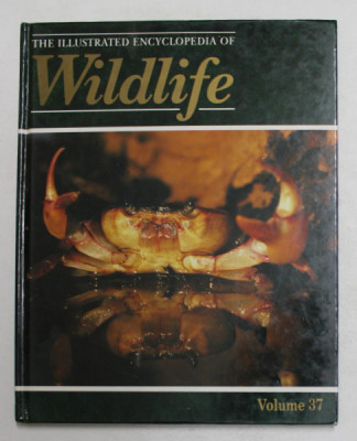 THE ILLUSTRATED ENCYCLOPEDIA OF WILDLIFE , VOLMUL 37 , 1989 foto