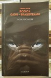 320 pisici negre - Rodica Ojog Brasoveanu