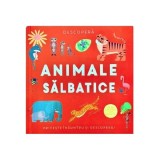 Descoperă - Animale sălbatice - Hardcover - Flamingo